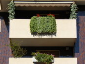 Parapetti 14.JPG