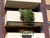 Parapetti 17.JPG