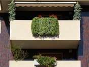 Parapetti 14.JPG