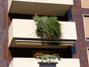 Parapetti 17.JPG