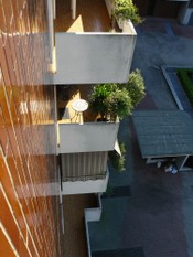Parapetti 20.JPG