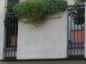 Parapetti 25.jpg