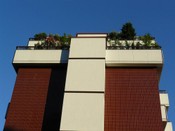 Parapetti 27.JPG