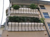 Parapetti 34.jpg