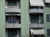Parapetti 36.jpg