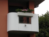 Parapetti 54.jpg