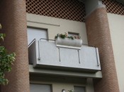 Parapetti 55.jpg