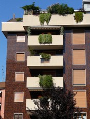 Parapetti 67.JPG