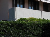 Parapetti 85.jpg